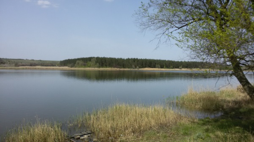 В ОРДО заявили, що майже у всіх водоймах не можна купатися