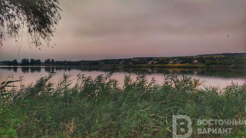 адамовка славянск яблоки_15