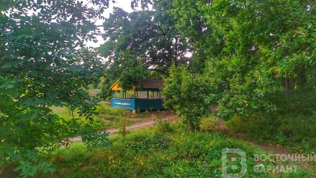 адамовка славянск яблоки_19