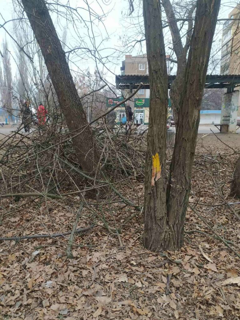 удаление деревьев в будущем парке Славянска