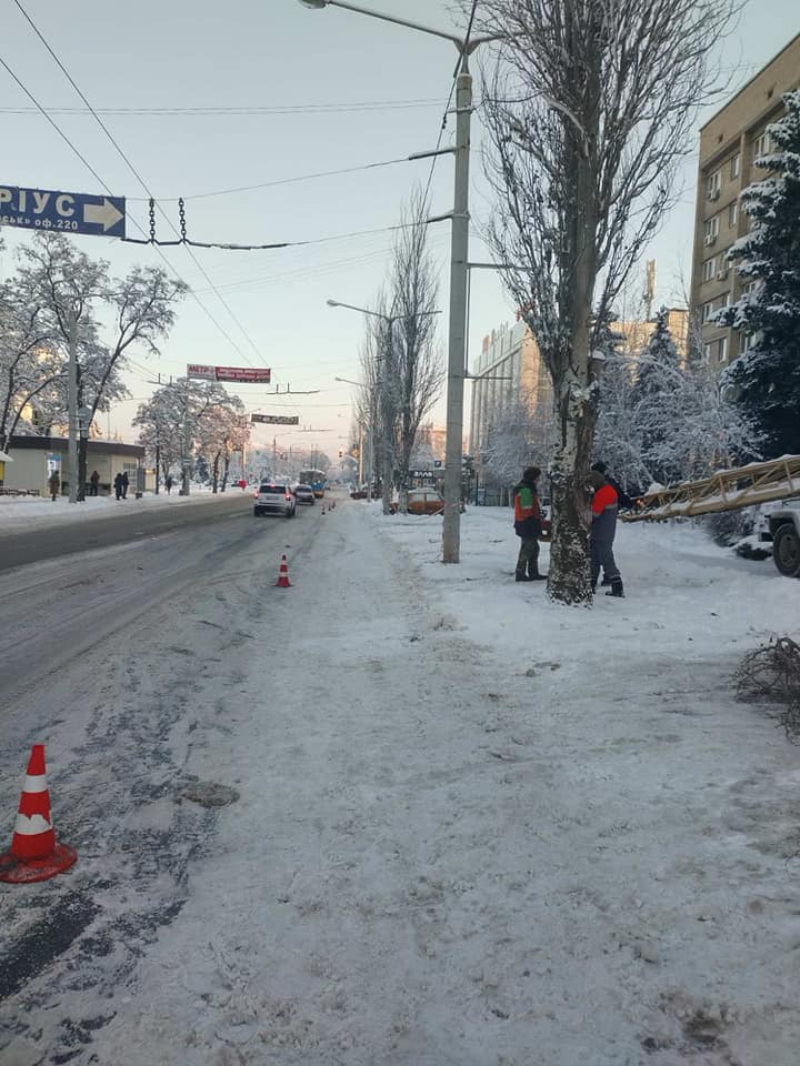 аварийные деревья у гостиницы Краматорск