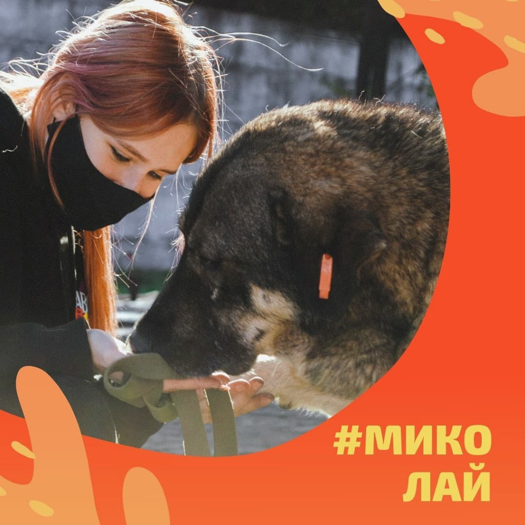святой никола чудеса