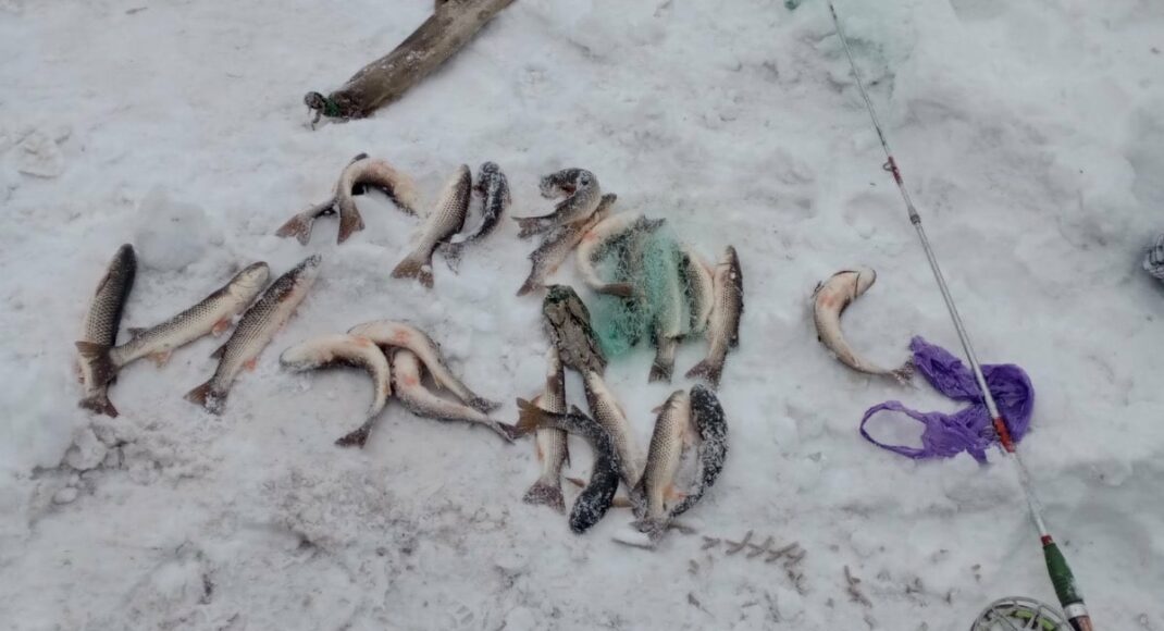 В Мариуполе задержали браконьера с уловом на 40 тысяч