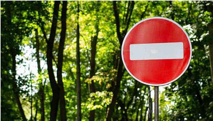 На Донеччині та Луганщині діє заборона відвідування лісів