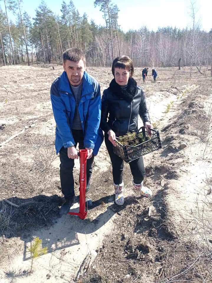 высадка леса на Лиманщине