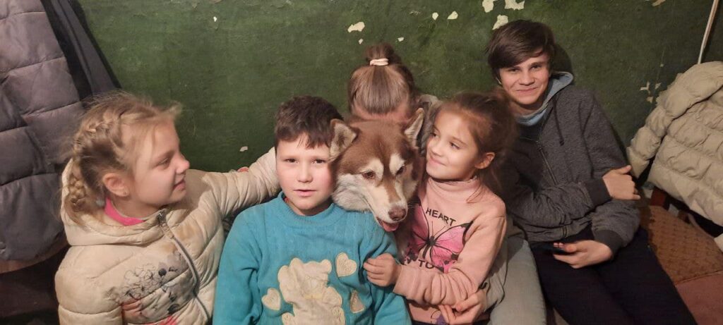 Волонтеры Северодонецка