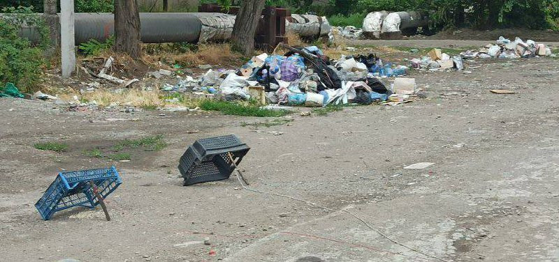 В окупованому Маріуполі люди полюють на голубів, щоб не померти з голоду, — міськрада