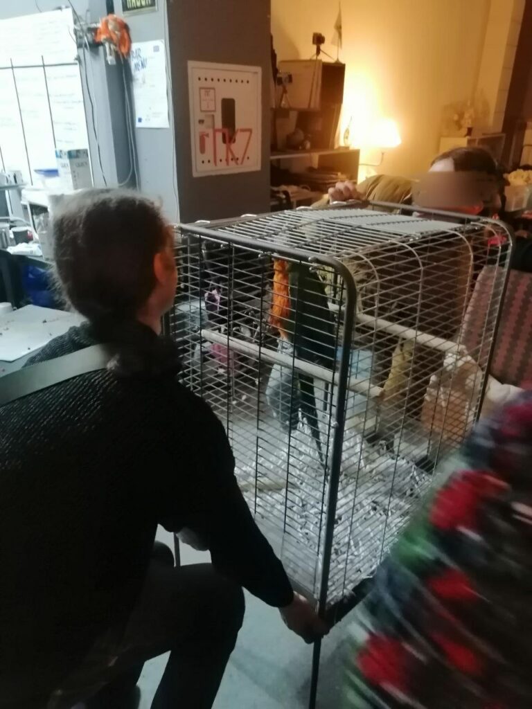 мариуполь волонтеры