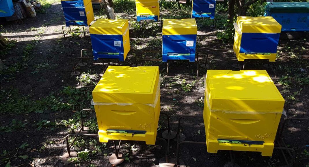 Через війну найбільше постраждали пасіки сходу України