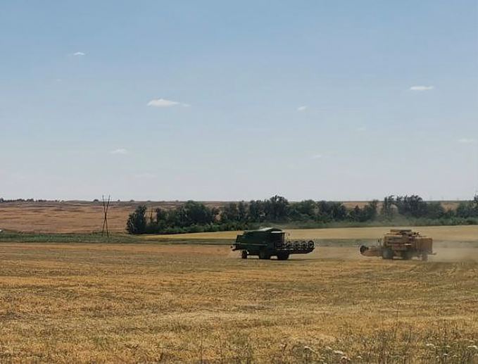 Окупанти почали збір врожаю в Маріупольському районі — крадіжки в агрохолдингів та фермерів