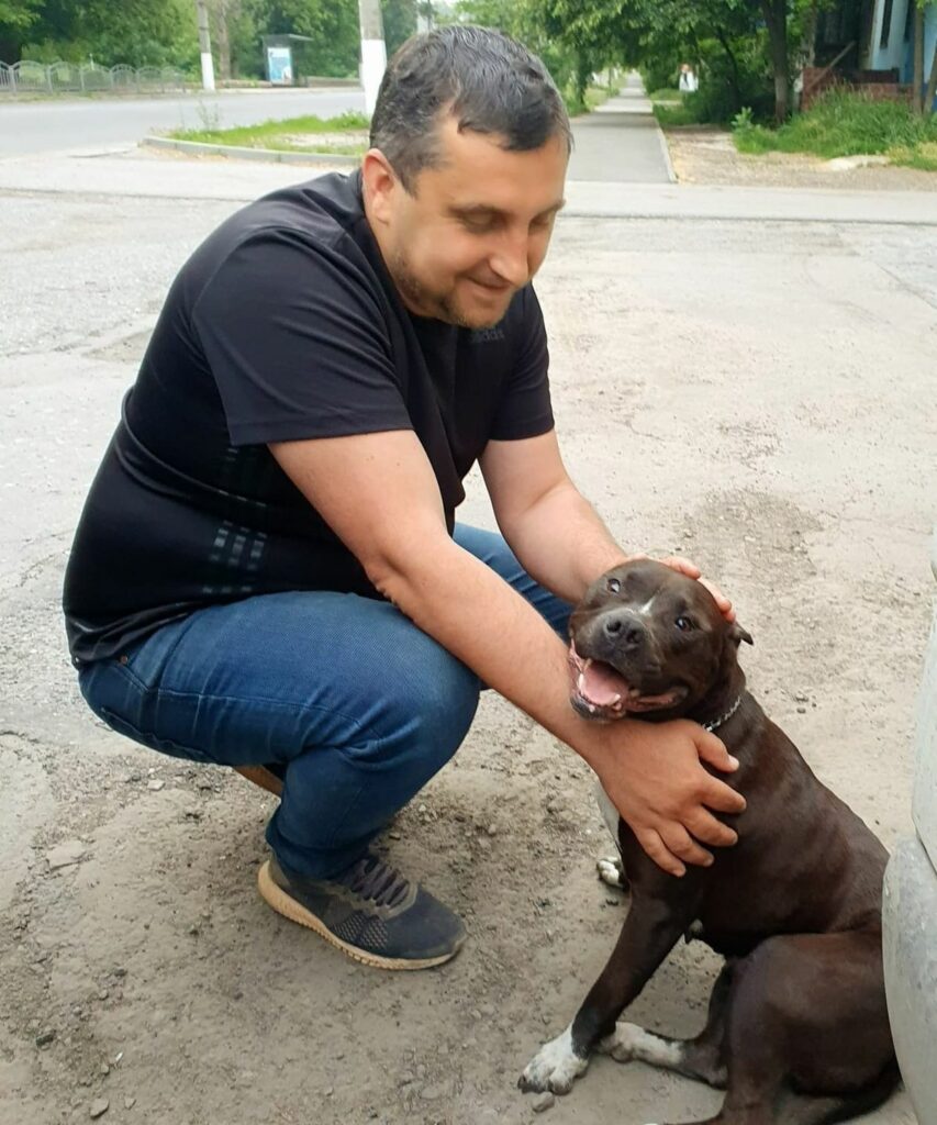 Слов'янськ собаки бездомні тварини _10