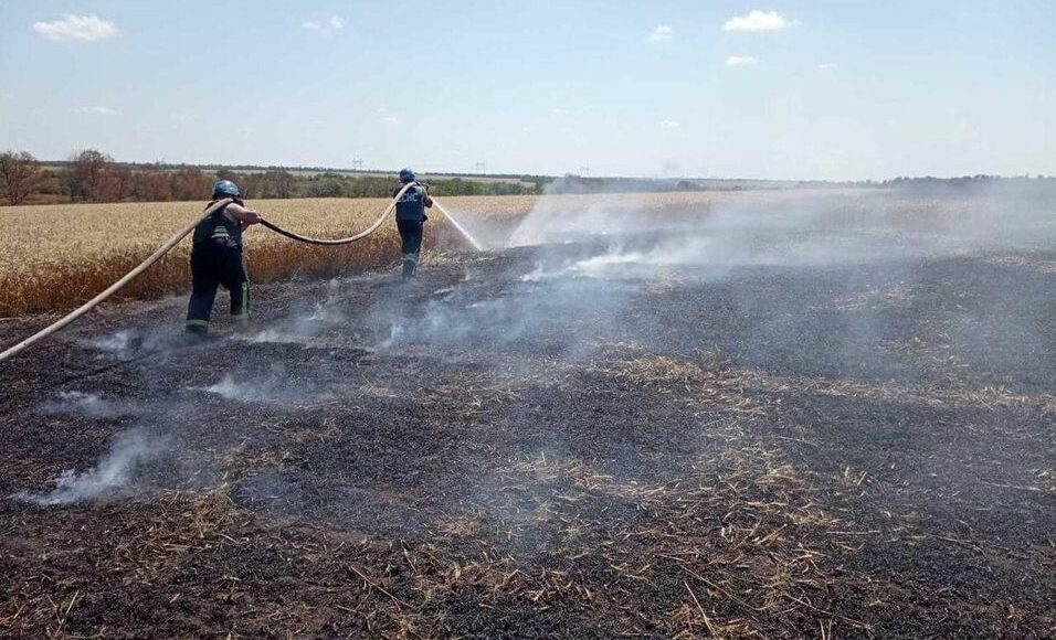 На Донеччині внаслідок обстрілу зайнялася пшениця на площі 4,9 гектарів, - ДСНС