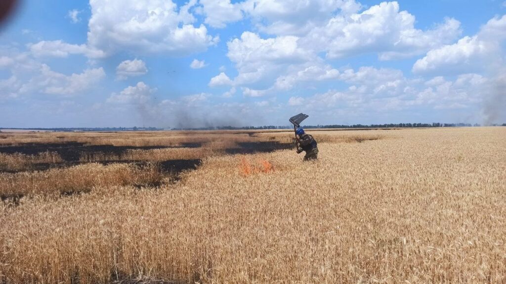 пожежі на Донеччині