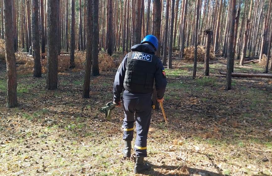 У Святогірську і Лимані сапери продовжують розміновувати території
