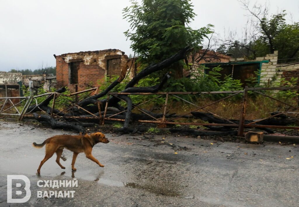 Святогірськ