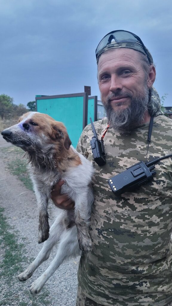 "Уламки розтрощили Бургеру щелепи". Військові у Бахмуті врятували собаку, який потрапив під ракетний обстріл Військові у Бахмуті врятували собаку Бургера, який потрапив під ракетний обстріл росіян: 5 місяців його виходжували та передали на лікування Дніпро
