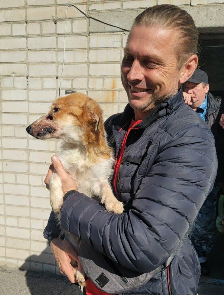 "Уламки розтрощили Бургеру щелепи". Військові у Бахмуті врятували собаку, який потрапив під ракетний обстріл Пес Бургер та його рятівник. Фото: окрема бригада територіальної оборони м. Дніпро/Facebook