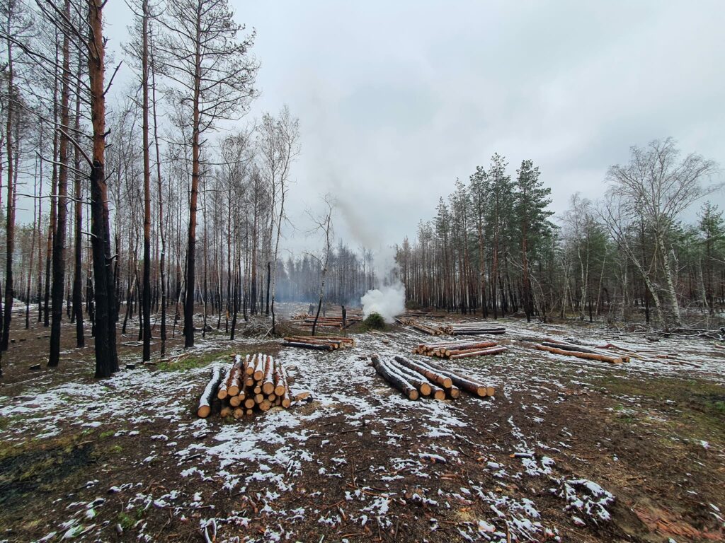 лиманські ліси