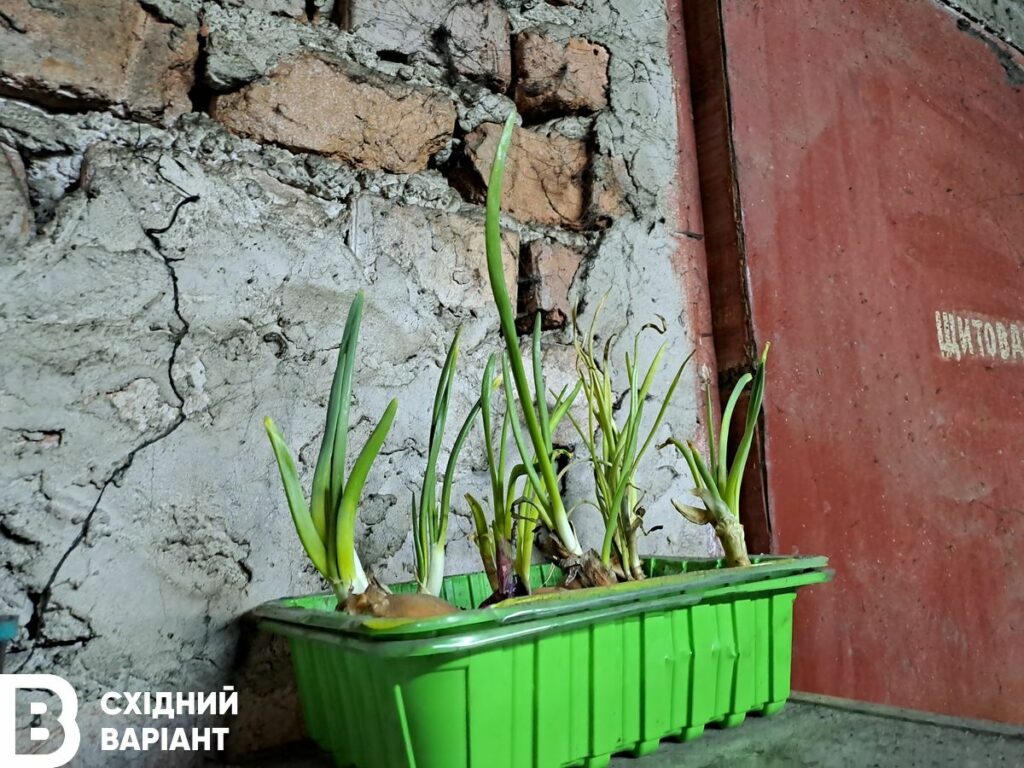 Лиман січень 2023