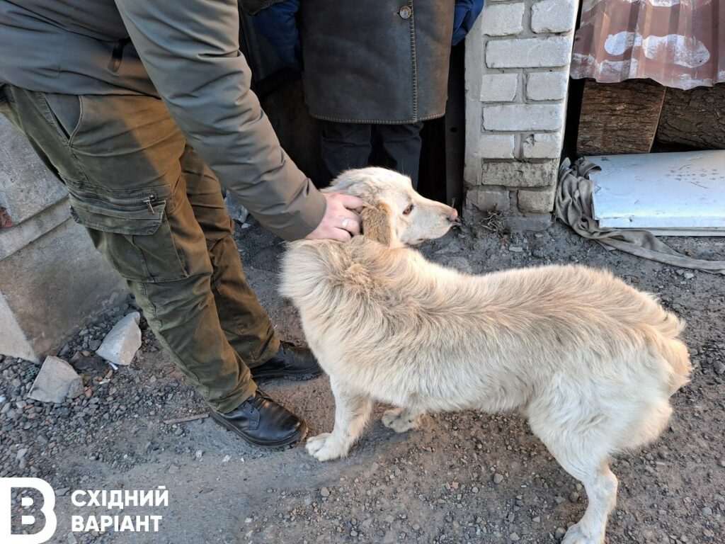 Лиман січень 2023