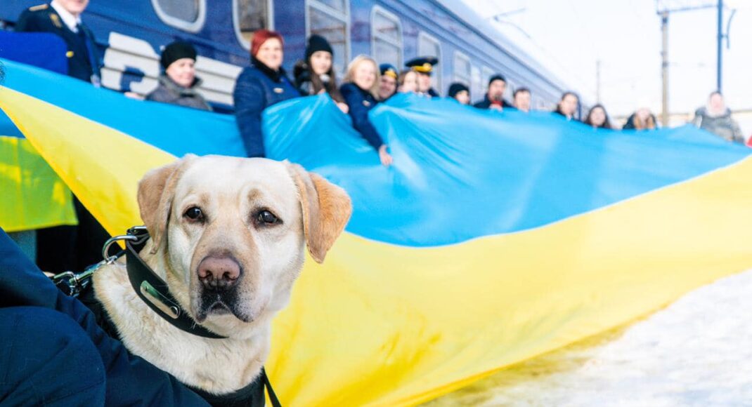 З Ужгорода до Краматорська пасажирів Поїзду єднання супроводжує чотирилапа охоронниця Укрзалізниці: фото