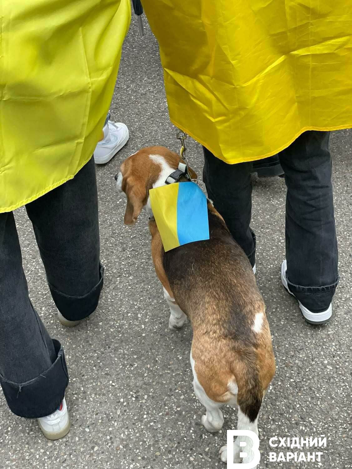 Сєвєродончани взяли участь у Ході Незламності у Німеччині