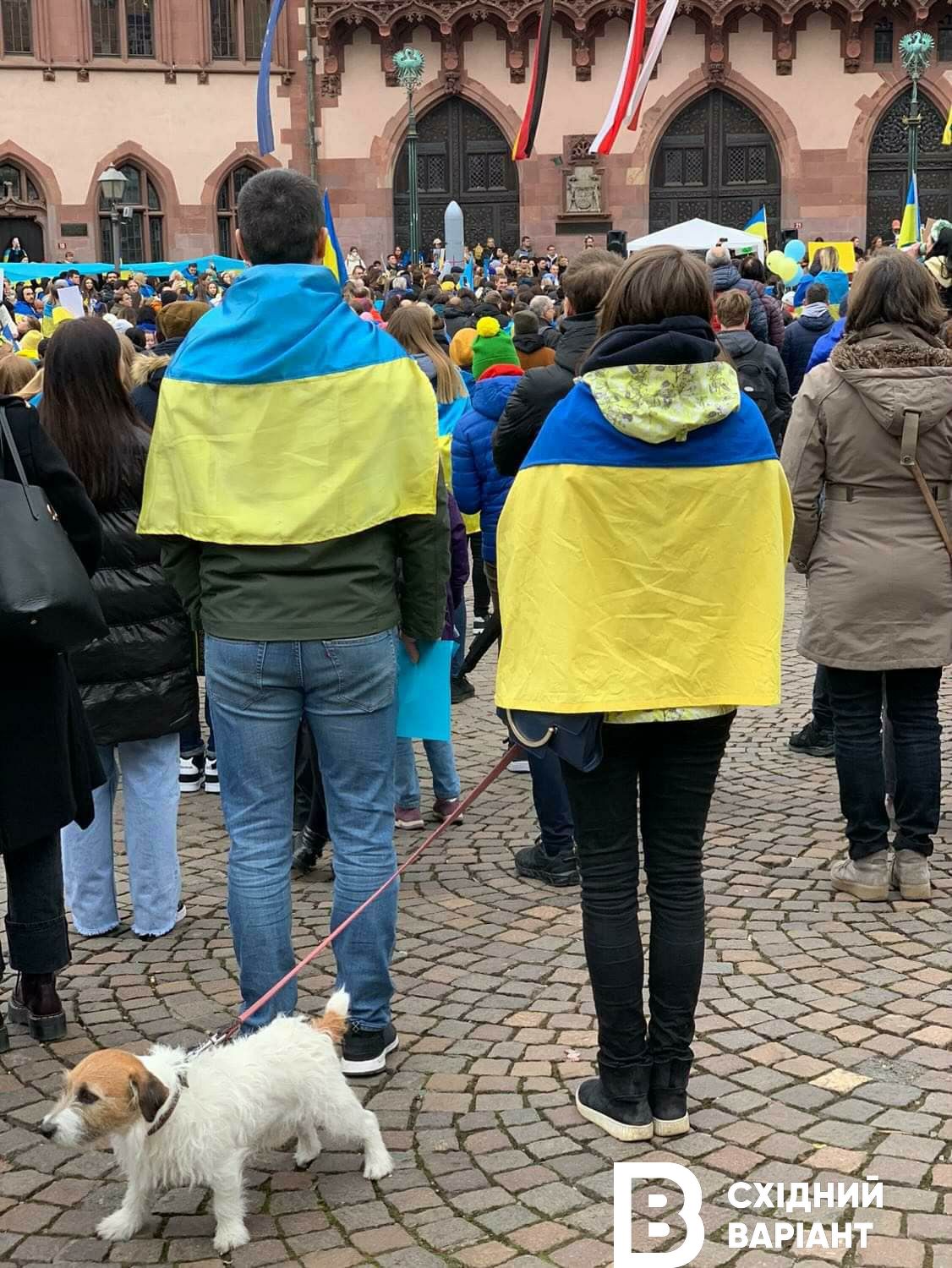 Сєвєродончани взяли участь у Ході Незламності у Німеччині