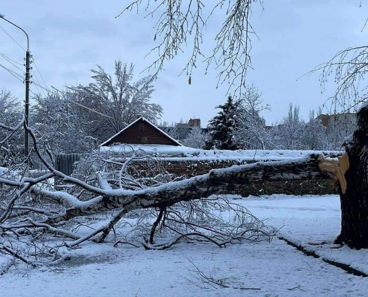 У Слов'янську через снігопад повалені дерева, є сніжні завали та пориви електроліній: фото
