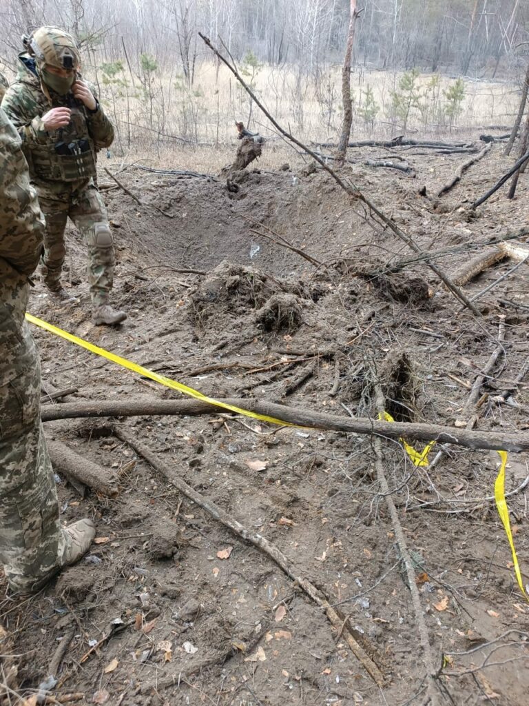 розмінування лісів Лимана