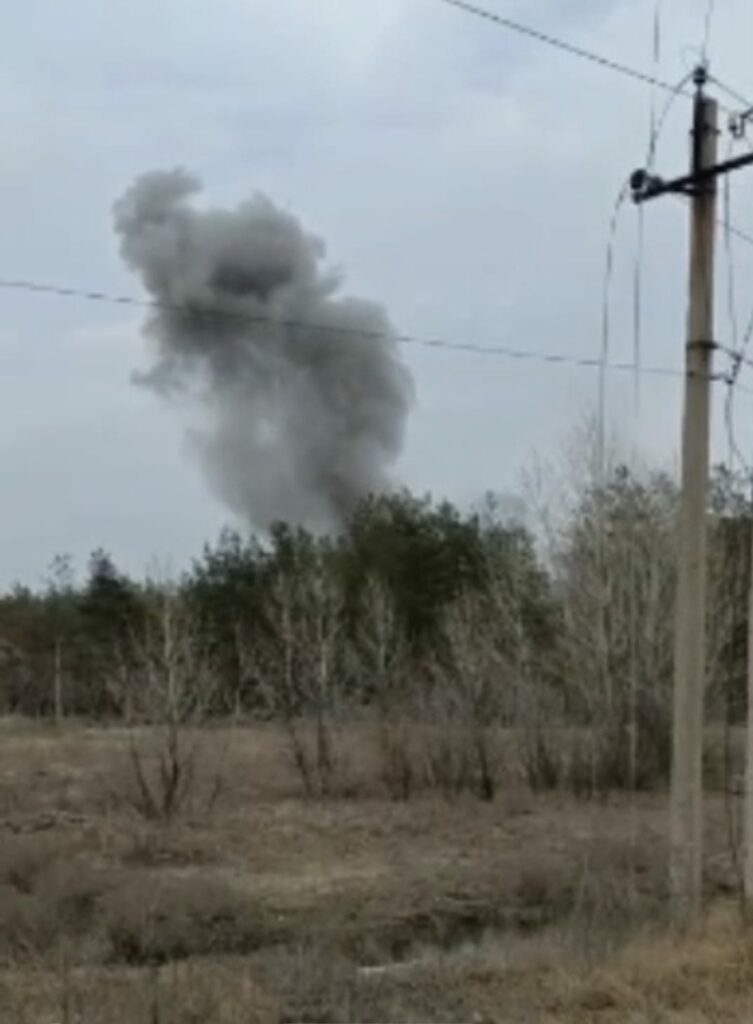 розмінування лісів Лимана