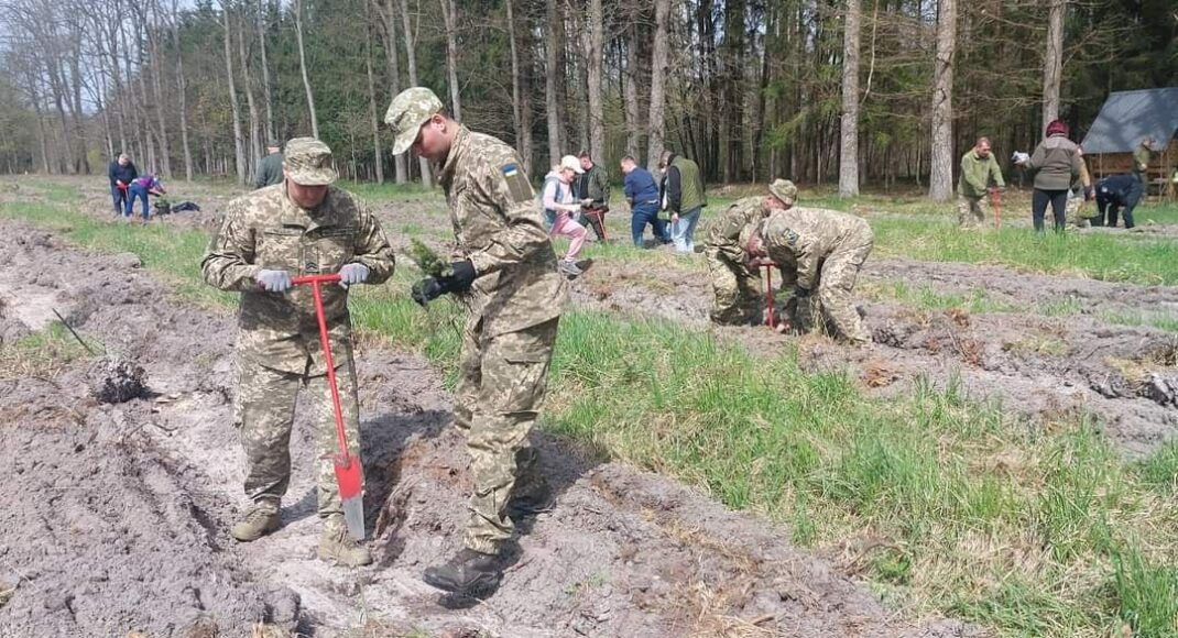 Військовослужбовці з Луганщини долучилися до всеукраїнської акції з озеленення довкілля на Волині