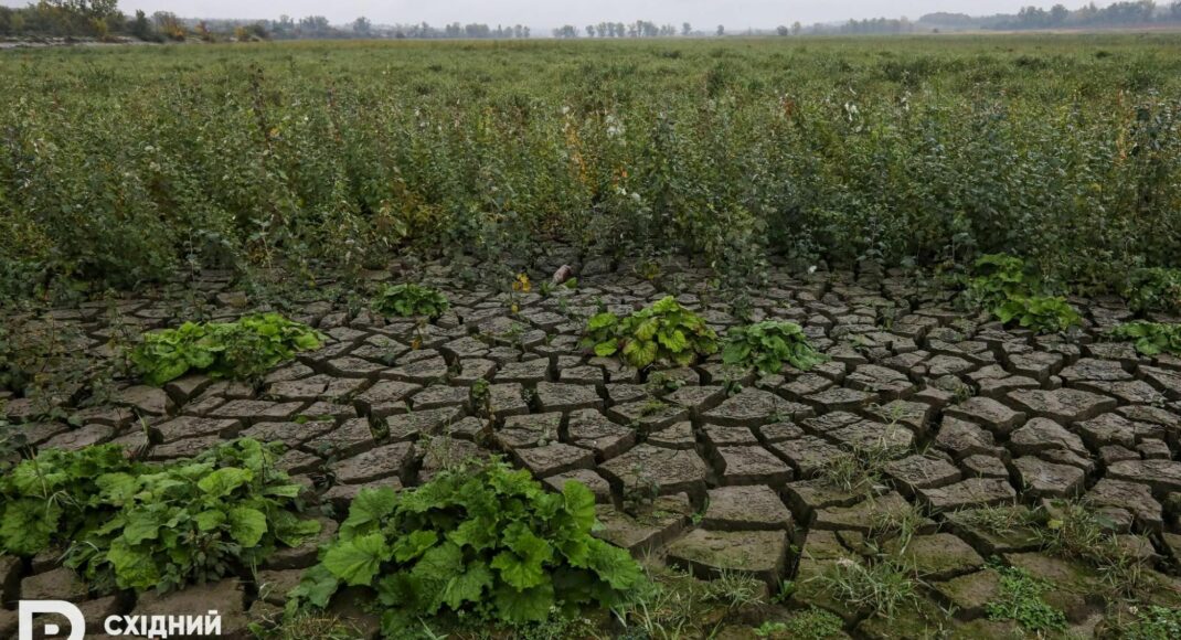 Стало известно, сколько ущерба война нанесла предприятиям аграрно-промышленного сектора Донетчины