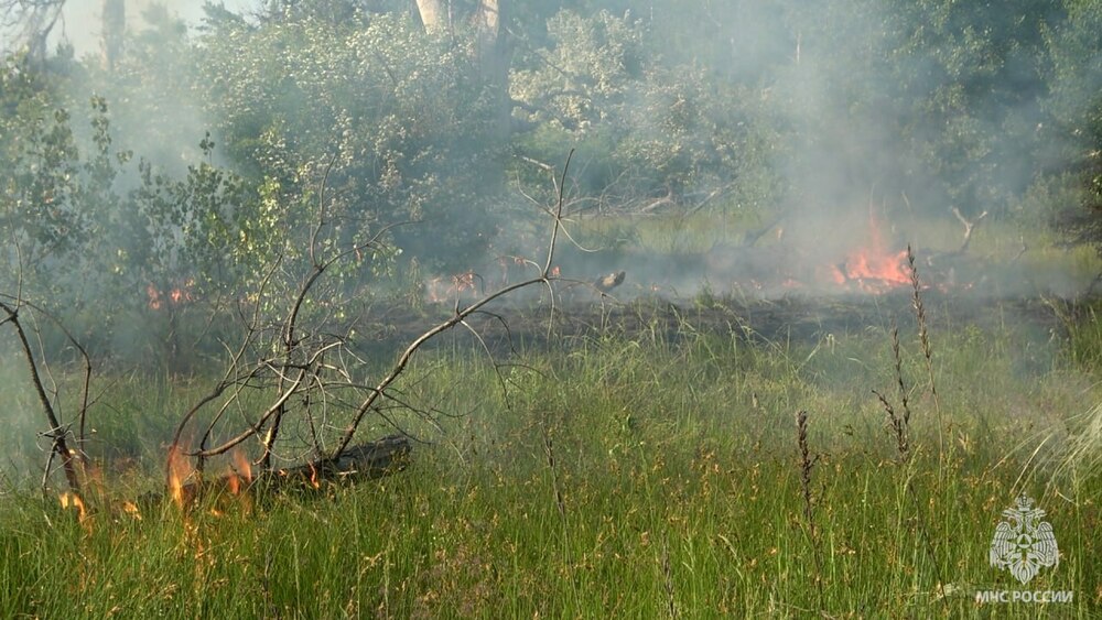пожежа сухостою на окупованій Луганщині