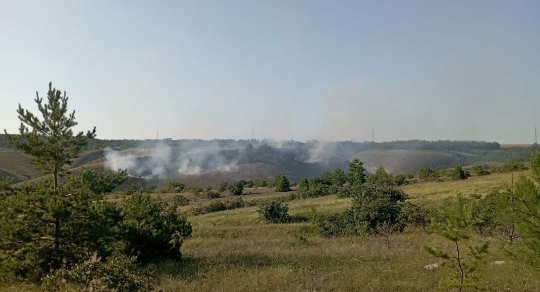 У Краматорську після влучання одного зі ворожих снарядів виникла пожежа на території ландшафтного парку