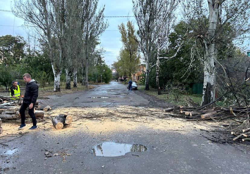 У Костянтинівці аварійне дерево обірвало дроти, частина району опинилася без електрики