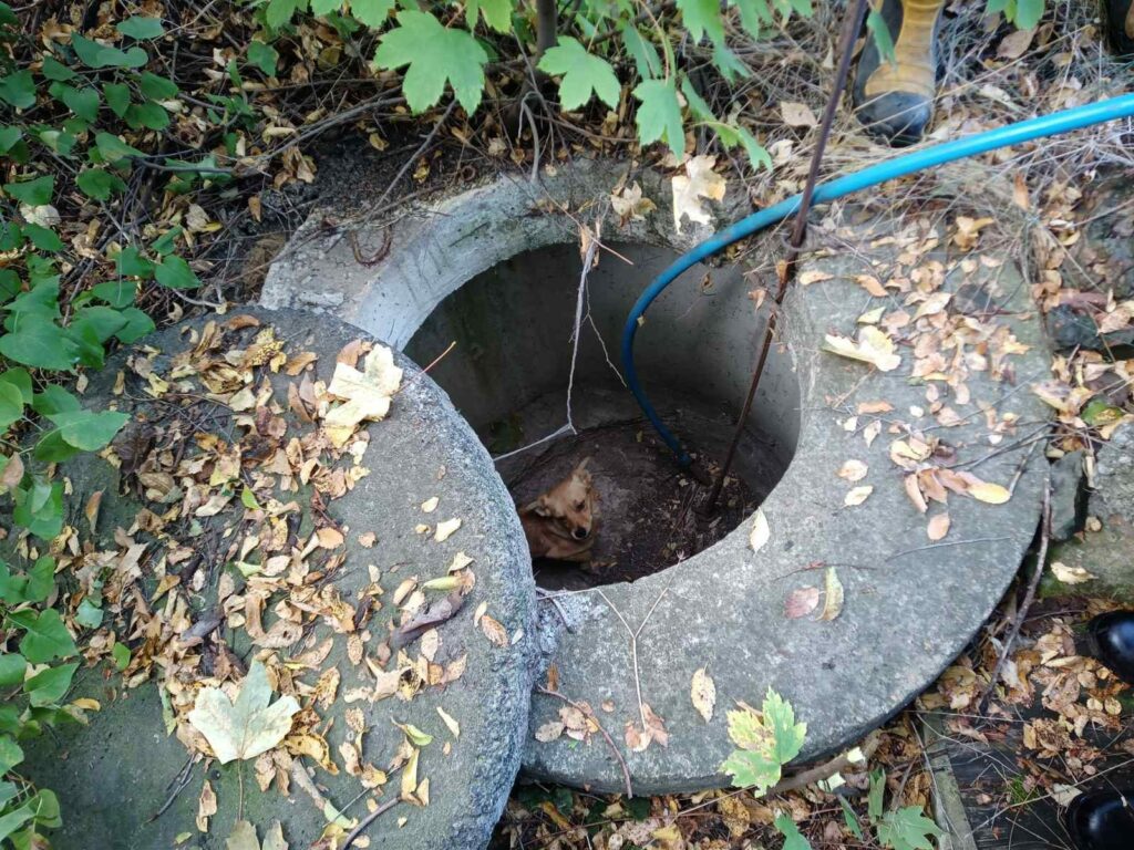 У Донецькій області рятувальники дістали песика з ями