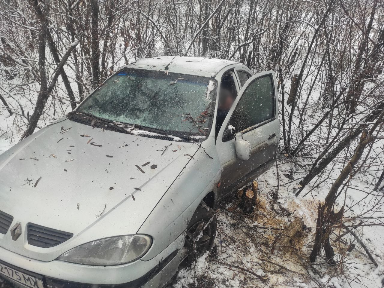 У Добропіллі водій не впорався з керуванням та з’їхав у кювет (фото)