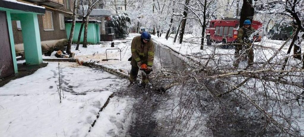 У Торецьку впало аварійне дерево і перекрило проїжджу частину дороги (фото)