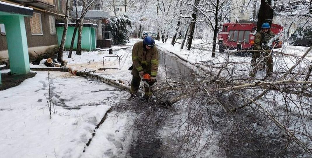 У Торецьку впало аварійне дерево і перекрило проїжджу частину дороги (фото)