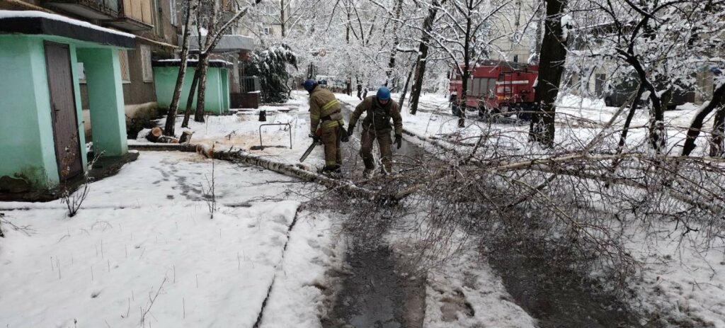 У Торецьку впало аварійне дерево і перекрило проїжджу частину дороги (фото)