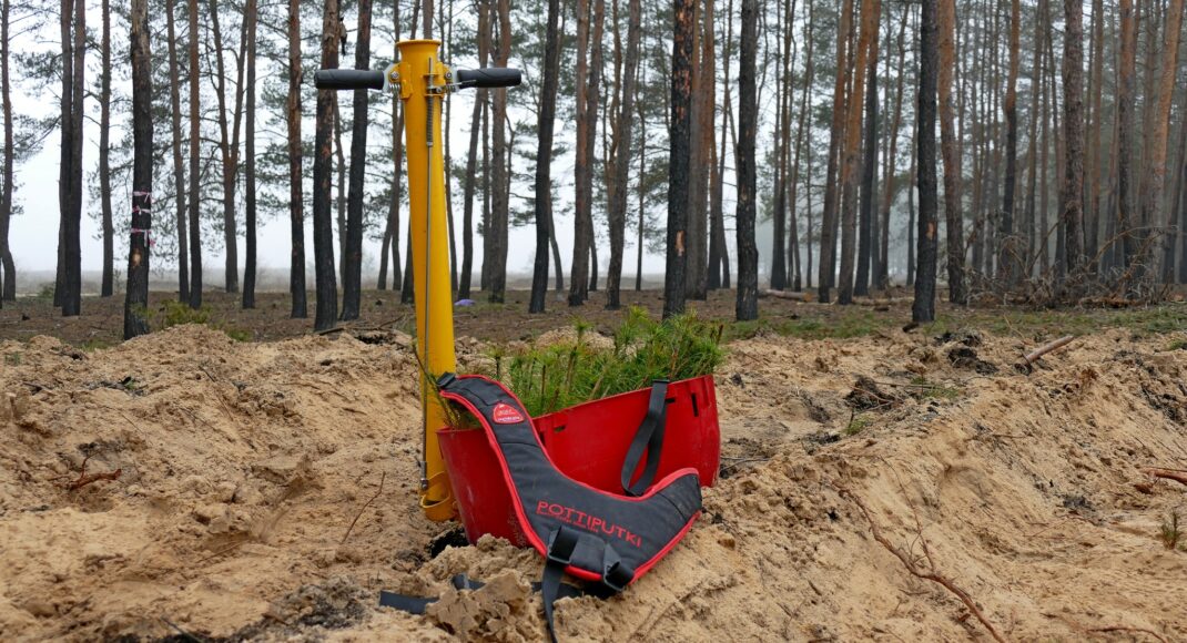 Міндовкілля хоче залучити міжнародних партнерів до відновлення лісів