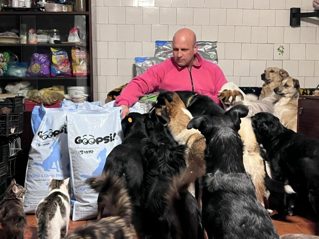 паверліфтери з Сєвєродонецька притулок для тварин