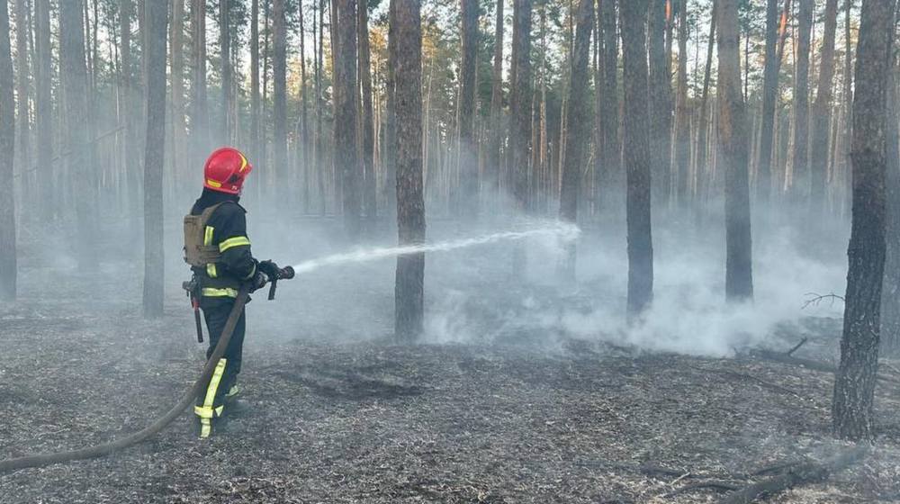 На Донеччині рятувальники ліквідували 7 пожеж за добу