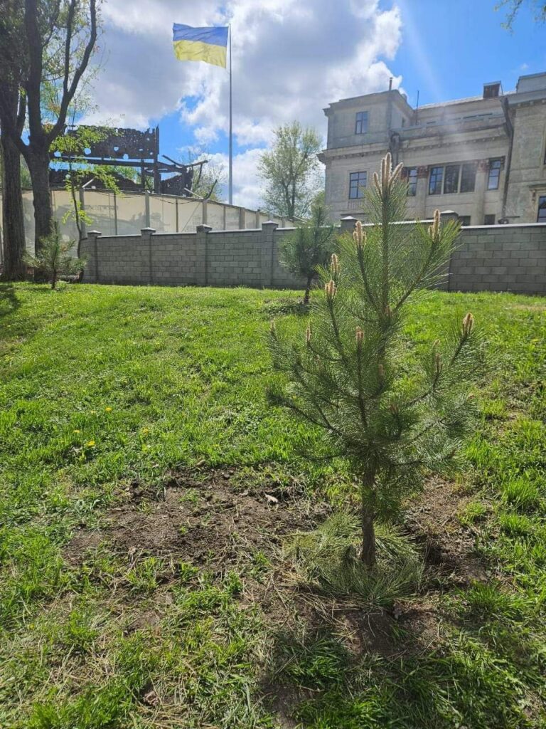 У День довкілля луганчани висадили п’ять кримських сосен на Алеї захисників Луганщини у Дніпрі (фото)
