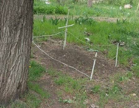 Маріупольці без житла досі змушені самостійно шукати собі місце проживання, — міськрада