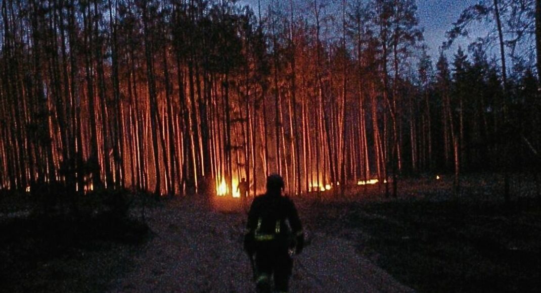 Протягом доби на Донеччині ліквідували 15 пожеж