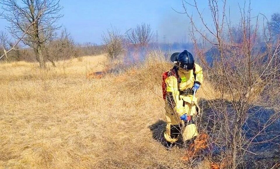 На оккупированной Донетчине за прошедшие сутки произошло 30 пожаров в экосистемах