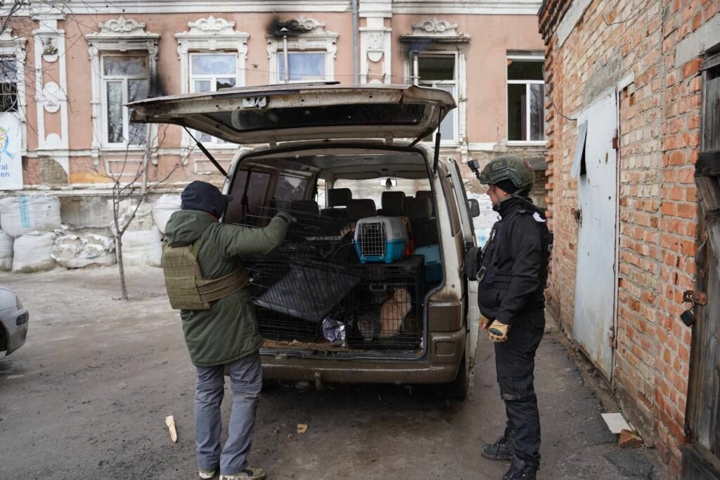 волонтери евакуйовують тварин з Донеччини