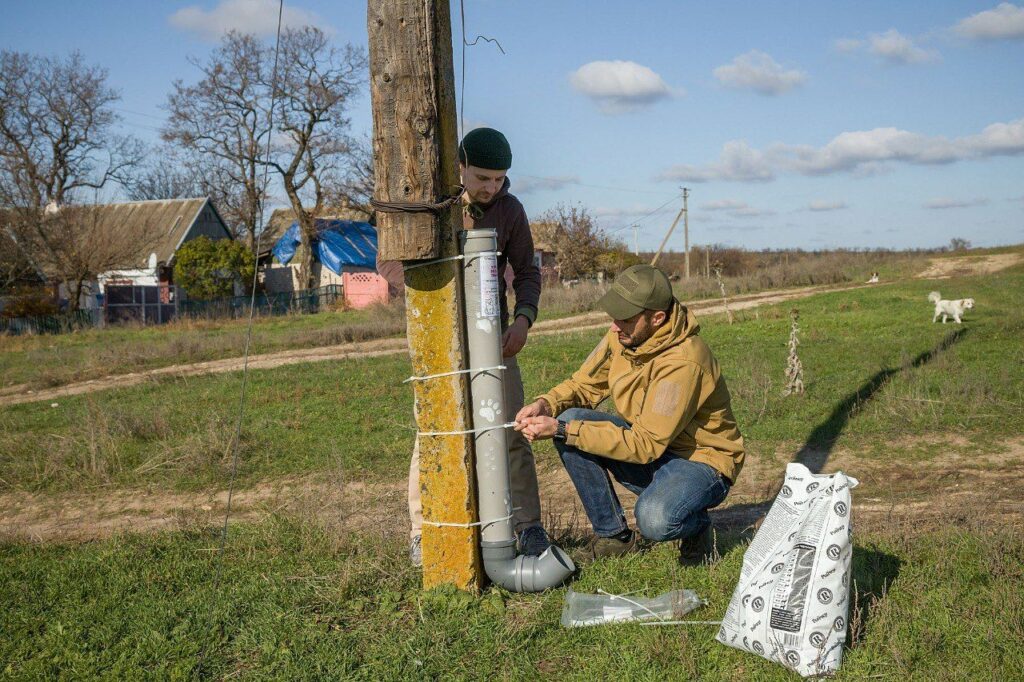 волонтери евакуйовують тварин з Донеччини