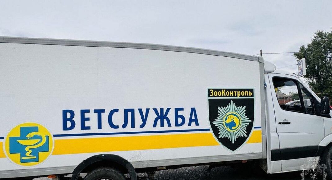 У Покровську знову працює "ЗооКонтроль"